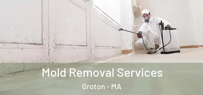  Mold Removal Services Groton - MA
