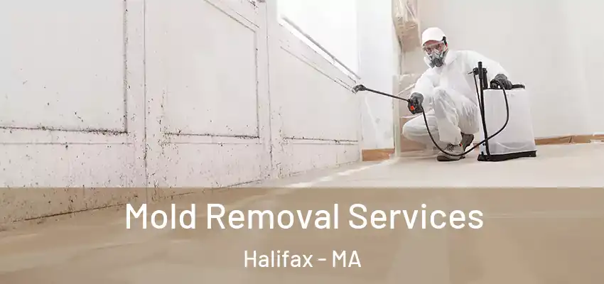 Mold Removal Services Halifax - MA