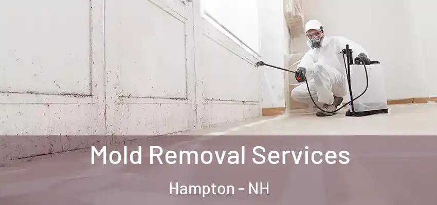 Mold Removal Services Hampton - NH