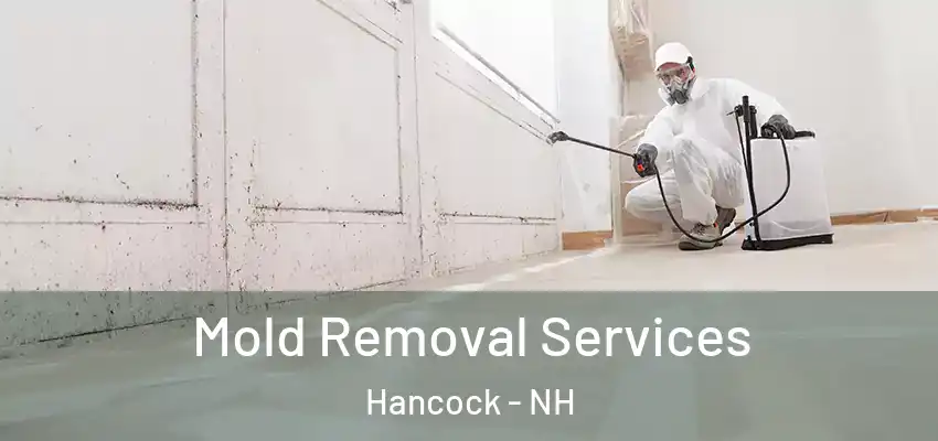 Mold Removal Services Hancock - NH