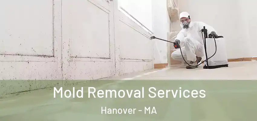  Mold Removal Services Hanover - MA