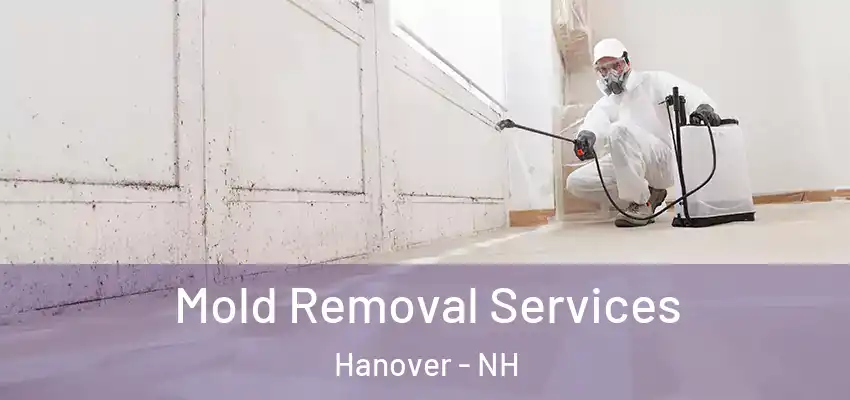  Mold Removal Services Hanover - NH