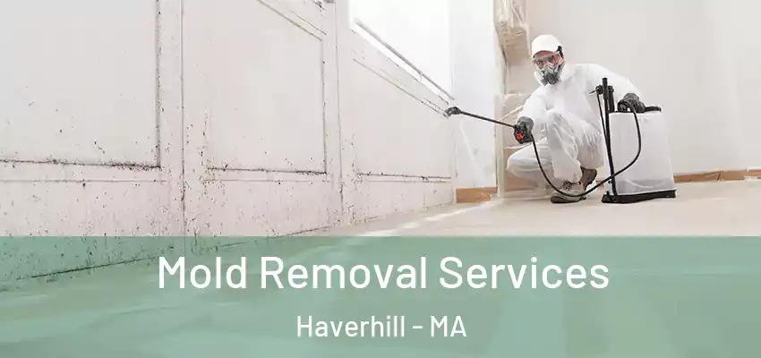 Mold Removal Services Haverhill - MA