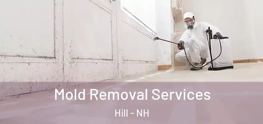 Mold Removal Services Hill - NH