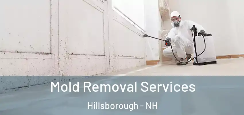 Mold Removal Services Hillsborough - NH