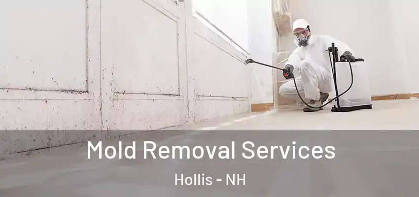  Mold Removal Services Hollis - NH