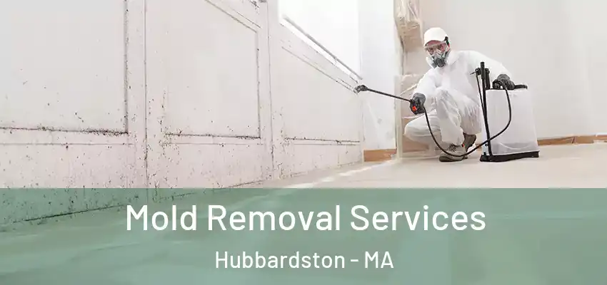 Mold Removal Services Hubbardston - MA