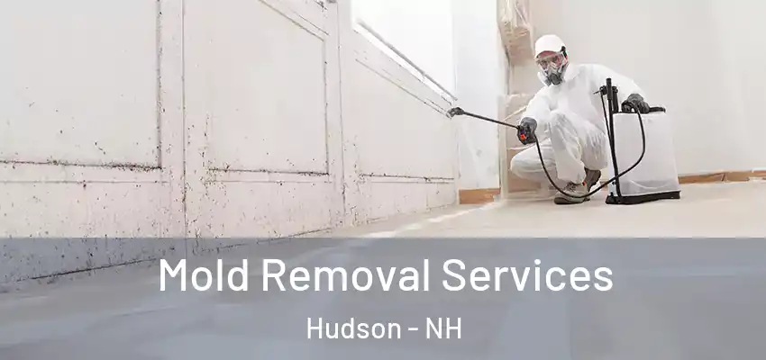 Mold Removal Services Hudson - NH