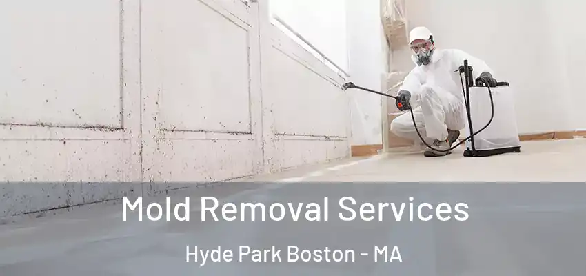  Mold Removal Services Hyde Park Boston - MA