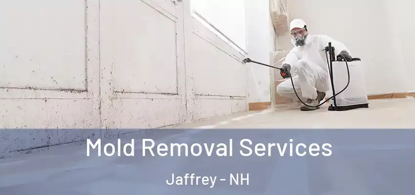 Mold Removal Services Jaffrey - NH