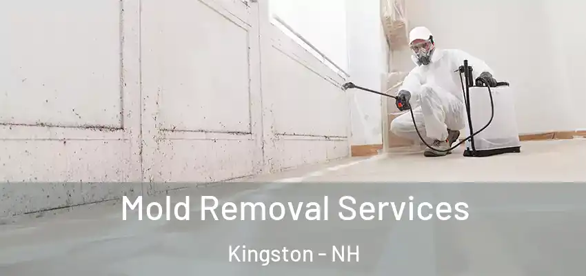 Mold Removal Services Kingston - NH
