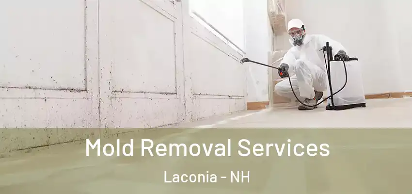  Mold Removal Services Laconia - NH