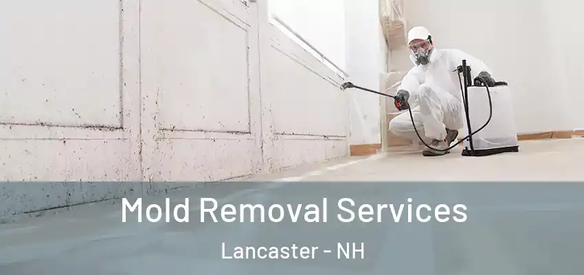 Mold Removal Services Lancaster - NH