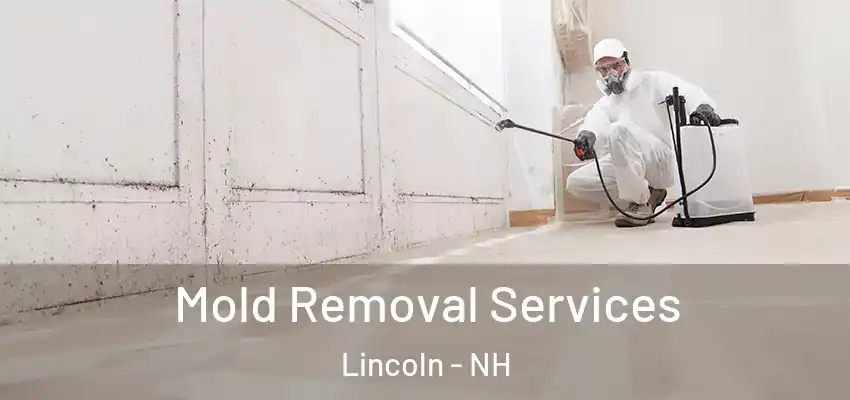 Mold Removal Services Lincoln - NH