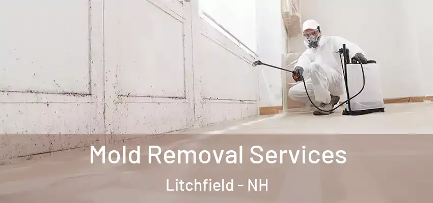 Mold Removal Services Litchfield - NH