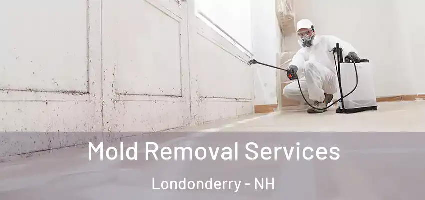 Mold Removal Services Londonderry - NH