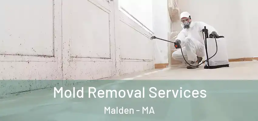 Mold Removal Services Malden - MA