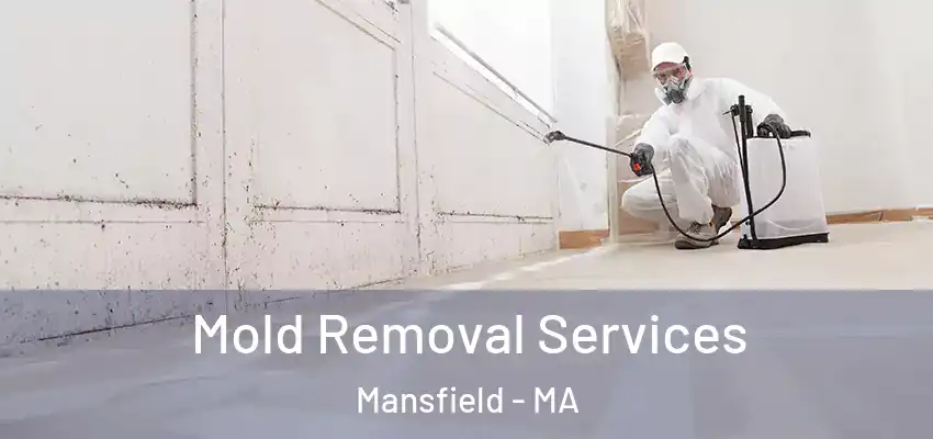  Mold Removal Services Mansfield - MA