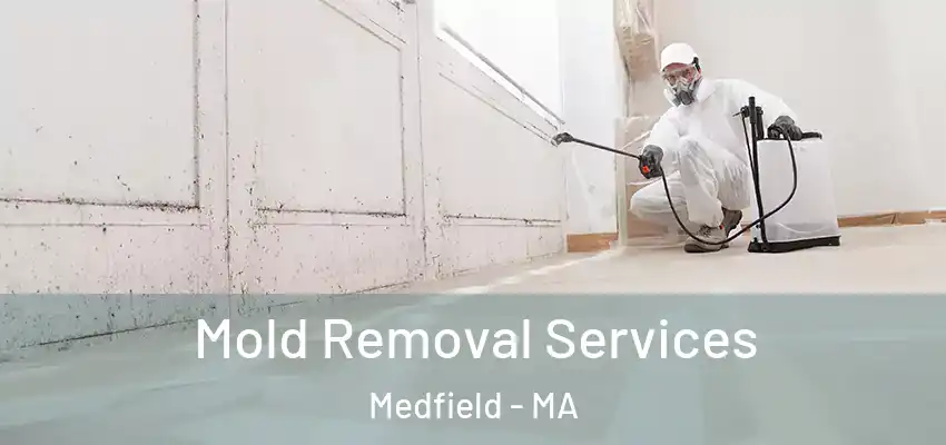  Mold Removal Services Medfield - MA
