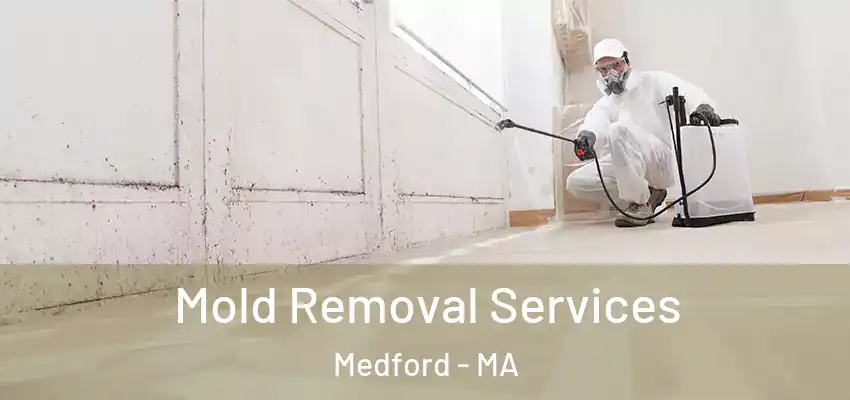  Mold Removal Services Medford - MA