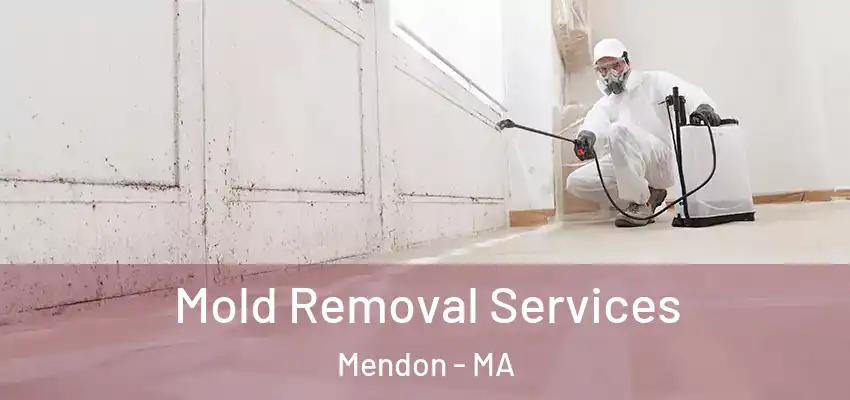 Mold Removal Services Mendon - MA