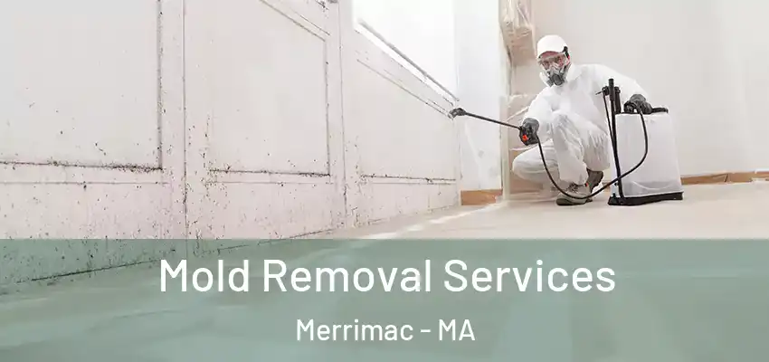  Mold Removal Services Merrimac - MA