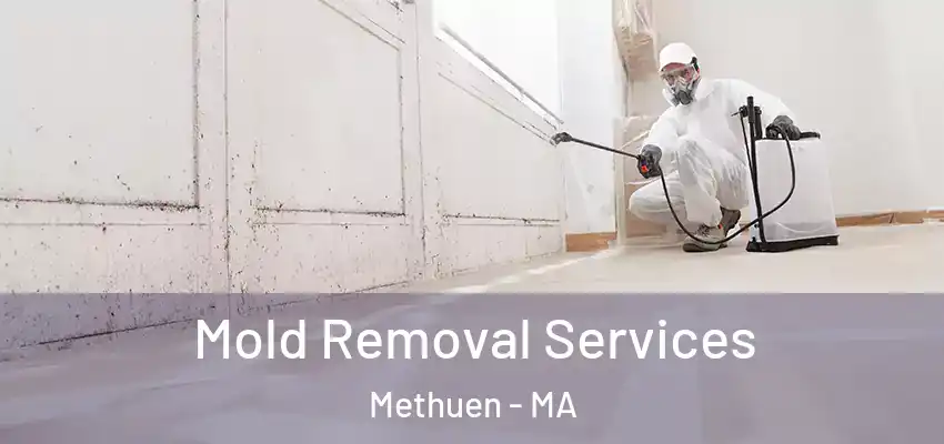 Mold Removal Services Methuen - MA