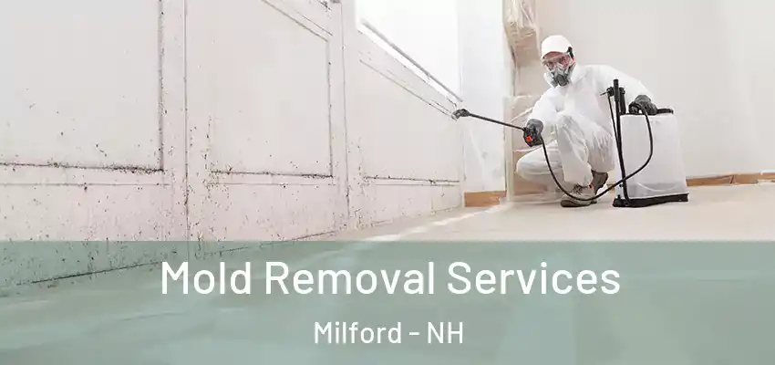 Mold Removal Services Milford - NH