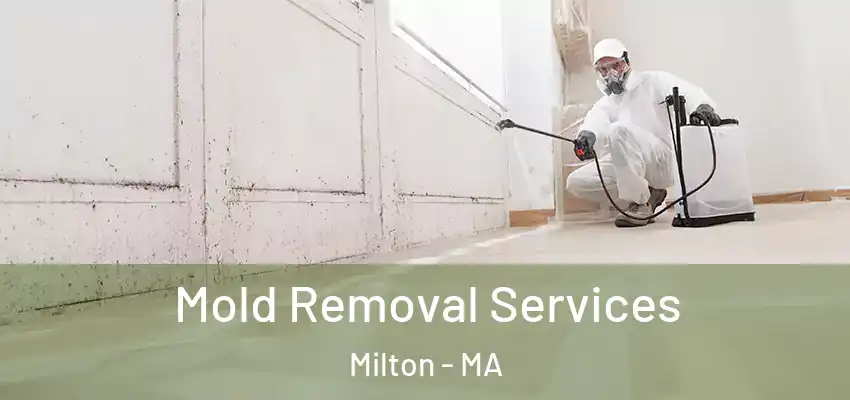  Mold Removal Services Milton - MA