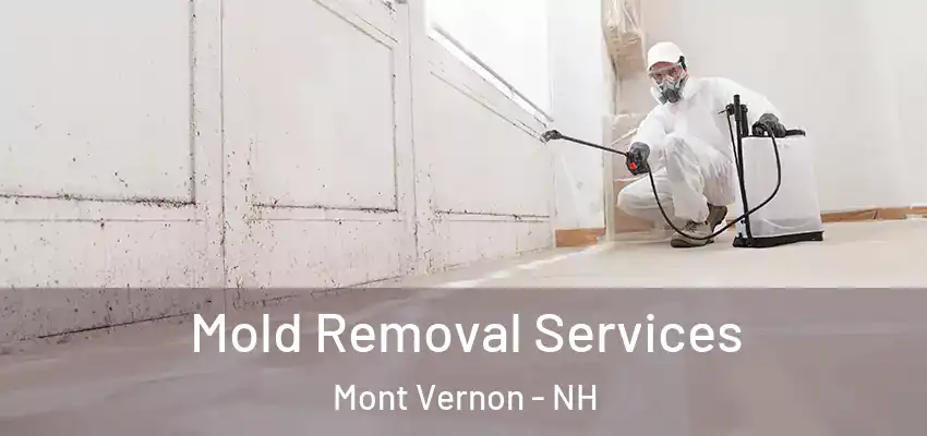  Mold Removal Services Mont Vernon - NH