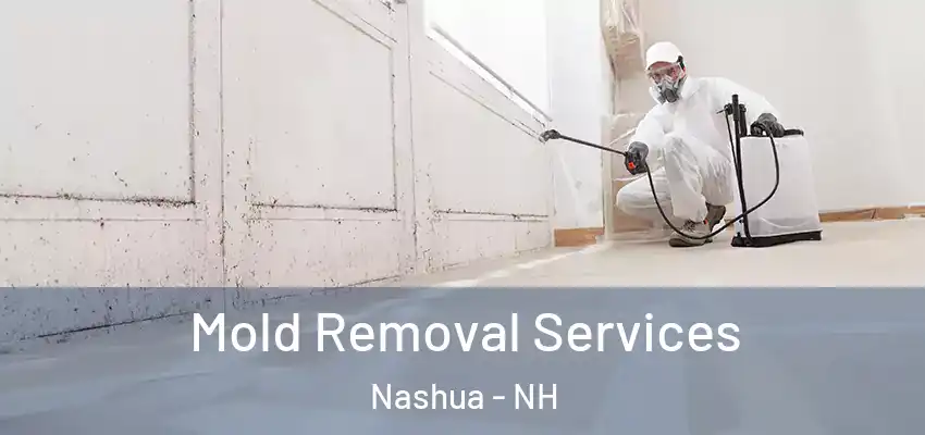 Mold Removal Services Nashua - NH