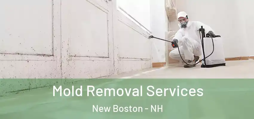 Mold Removal Services New Boston - NH
