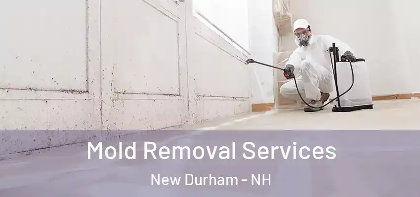 Mold Removal Services New Durham - NH