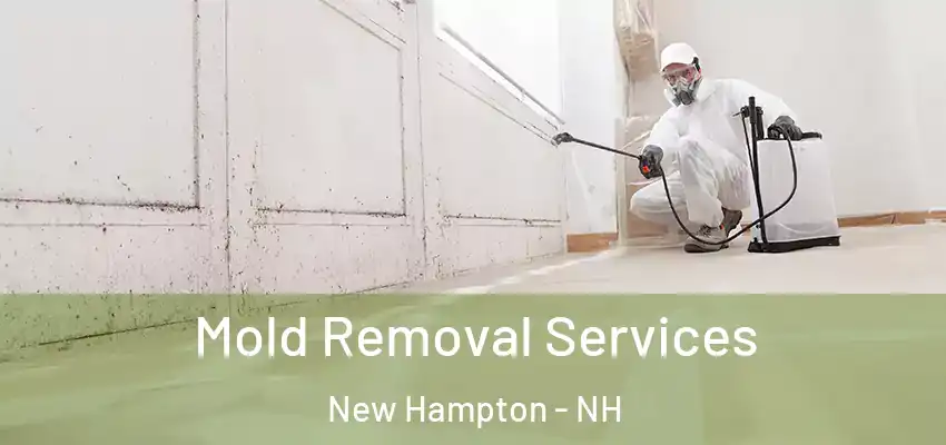 Mold Removal Services New Hampton - NH