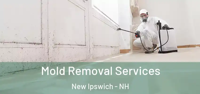 Mold Removal Services New Ipswich - NH