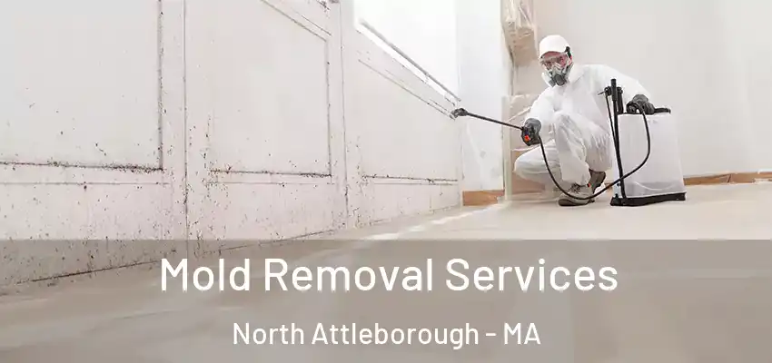  Mold Removal Services North Attleborough - MA