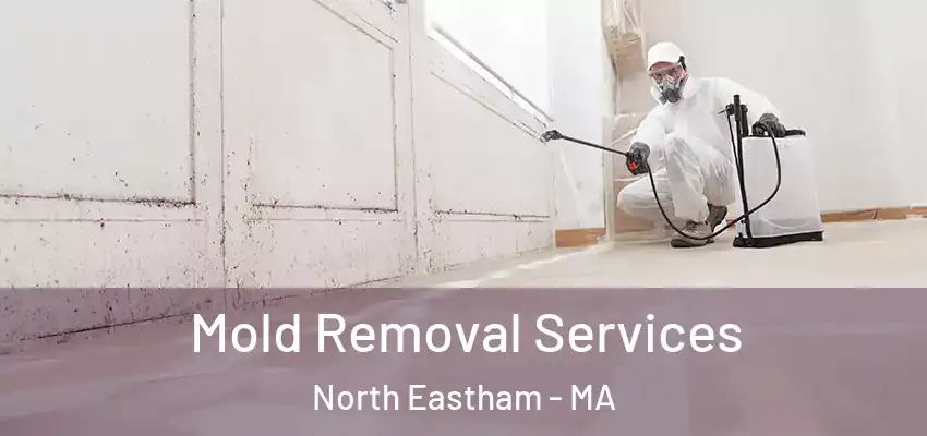 Mold Removal Services North Eastham - MA