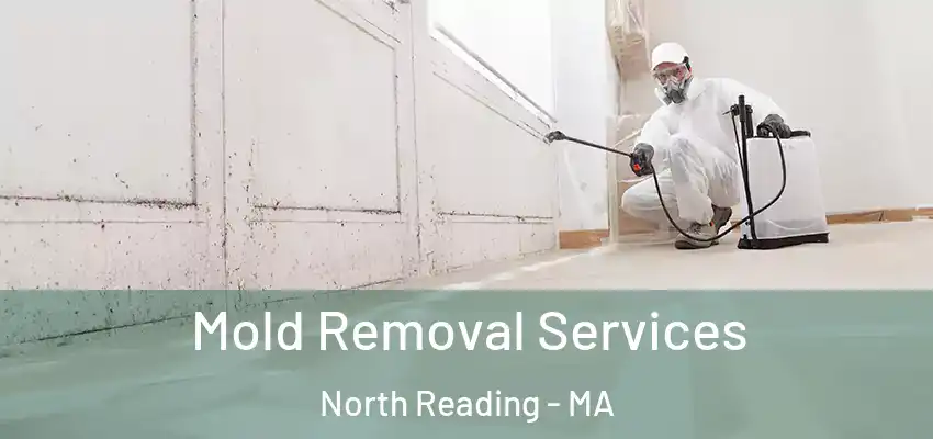 Mold Removal Services North Reading - MA