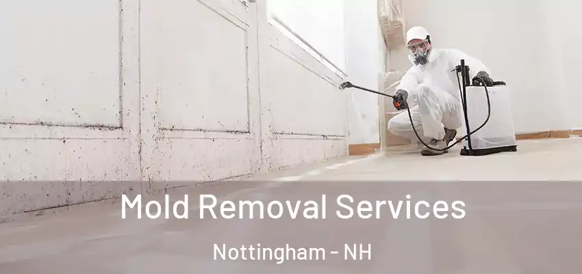  Mold Removal Services Nottingham - NH