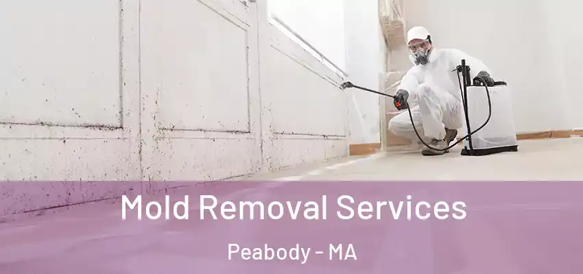  Mold Removal Services Peabody - MA