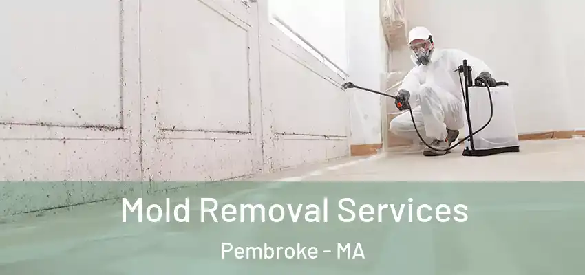 Mold Removal Services Pembroke - MA