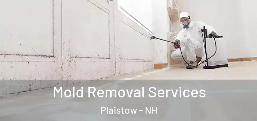  Mold Removal Services Plaistow - NH