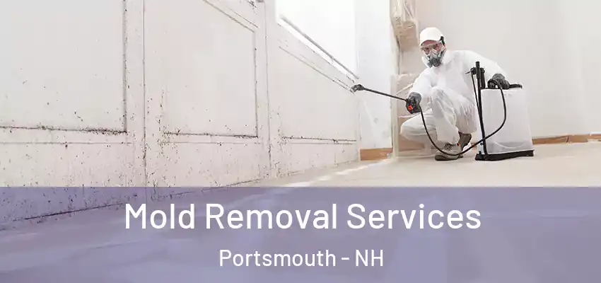  Mold Removal Services Portsmouth - NH