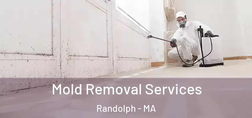 Mold Removal Services Randolph - MA