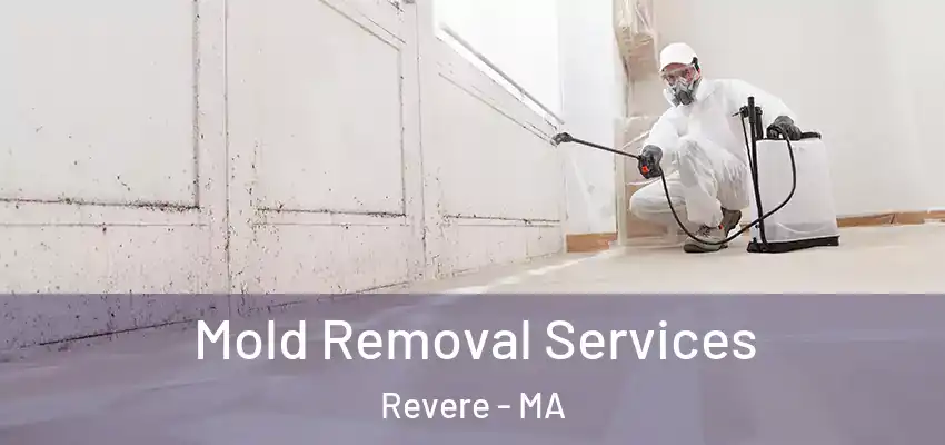  Mold Removal Services Revere - MA