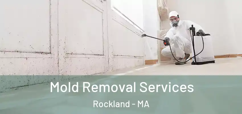  Mold Removal Services Rockland - MA