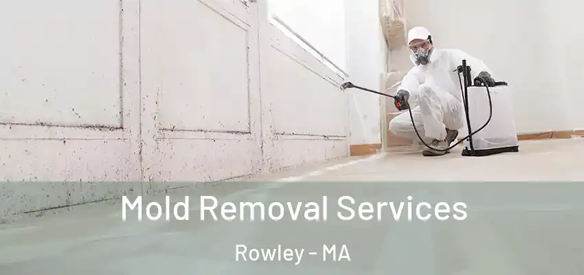 Mold Removal Services Rowley - MA