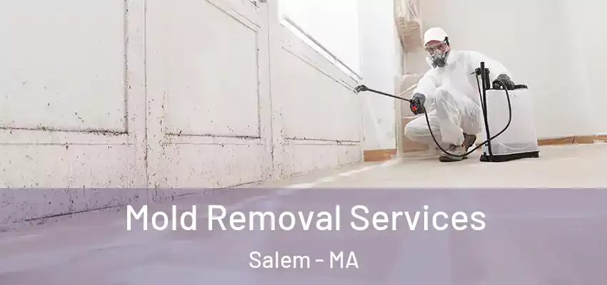 Mold Removal Services Salem - MA