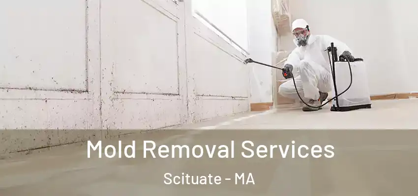  Mold Removal Services Scituate - MA