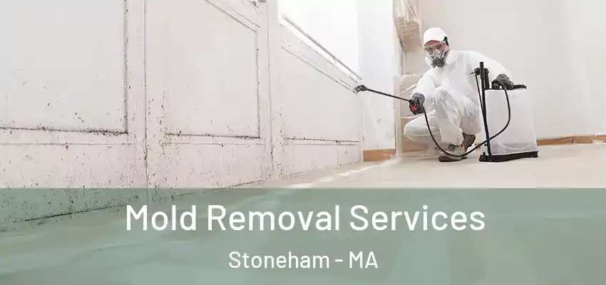 Mold Removal Services Stoneham - MA